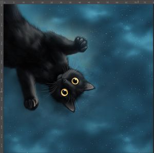 Hovedbilde FT panel Cutie Cat, str L, XL