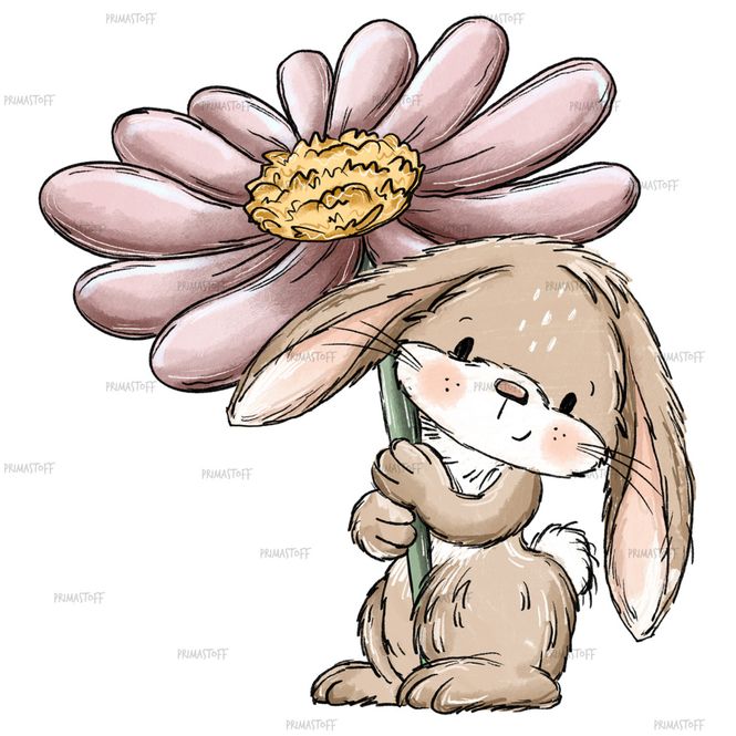 Hovedbilde Bunny